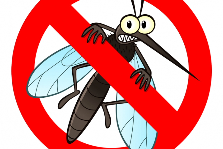 Tizenhárom vármegyében és a fővárosban gyérítik a héten a szúnyogokat